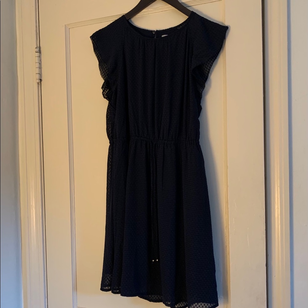 Navy sheer Swiss dot dress